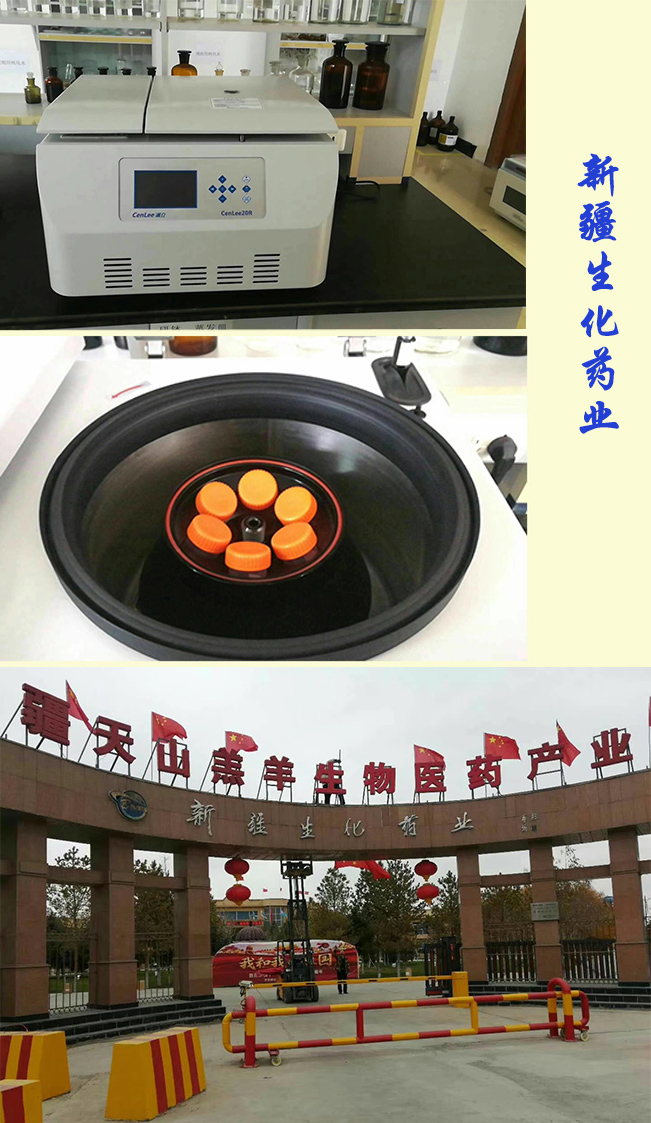 1705981764578244.jpg 新疆生化藥業.jpg