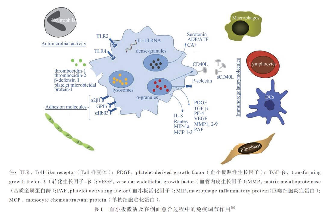 【PRP文獻快遞】PRP-80℃深低溫短期保存后細胞因子的變化